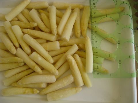 White Asparagus Tips